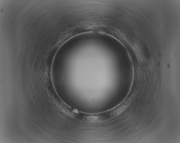 X0000078290265200611031239