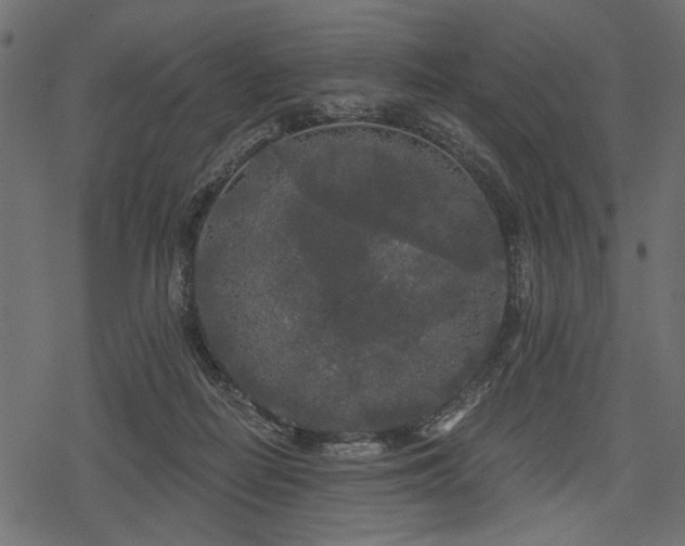 X0000078290266200611031239