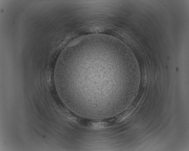 X0000078290268200611031239