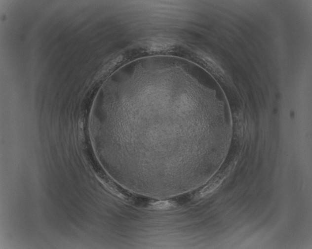 X0000078290269200611031239