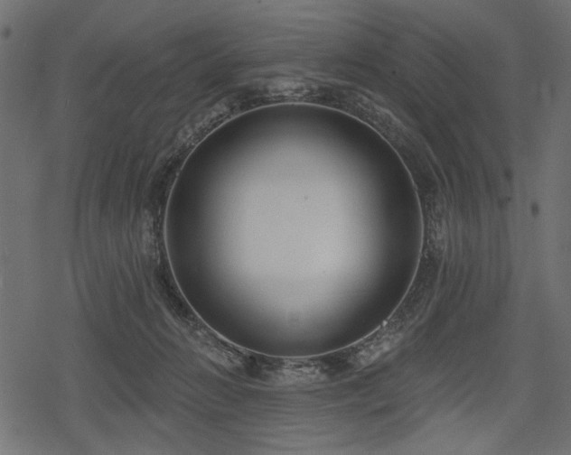 X0000078290270200611031239