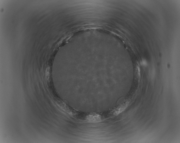 X0000078290271200611031239