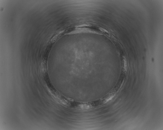 X0000078290272200611031239