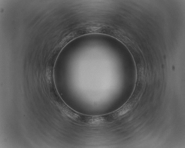 X0000078290274200611031239