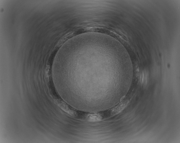 X0000078290275200611031239