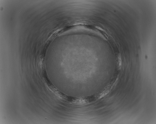 X0000078290276200611031239