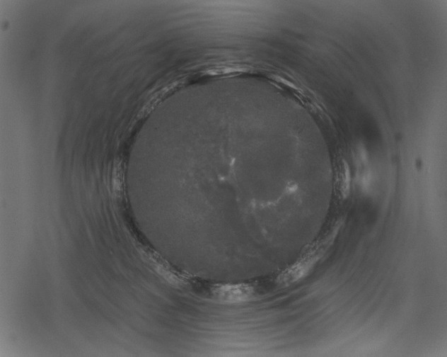 X0000078290277200611031239