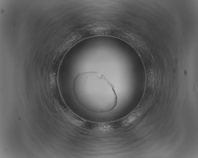 X0000078290278200611031239