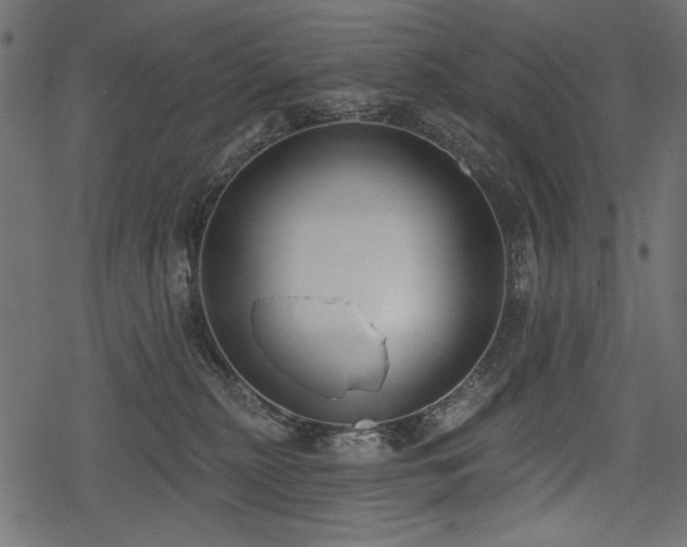 X0000078290279200611031239