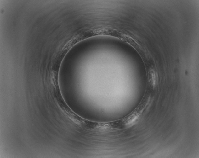 X0000078290280200611031239