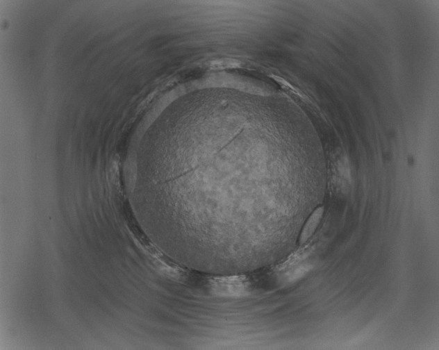 X0000078290281200611031239