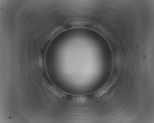 X0000078290282200611031239