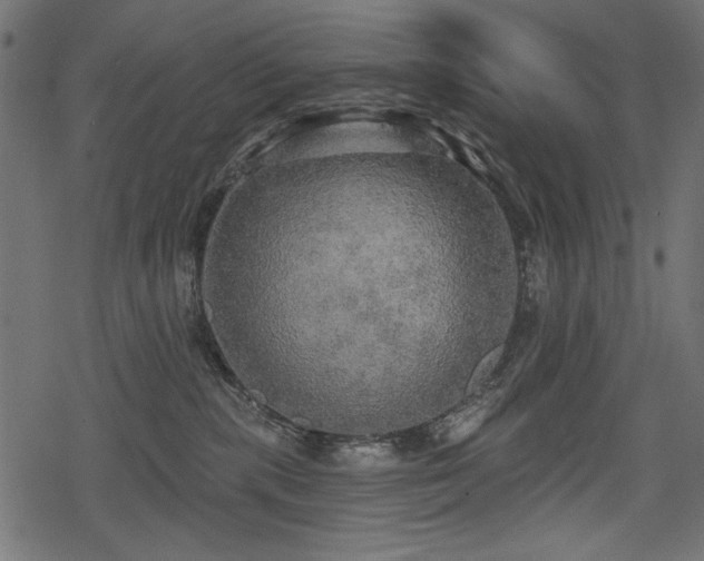 X0000078290283200611031239