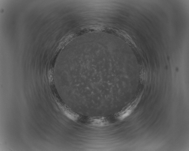 X0000078290285200611031239