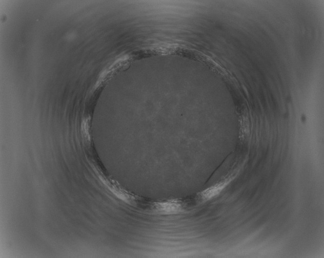 X0000078290286200611031239