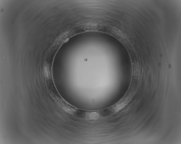 X0000078290287200611031239