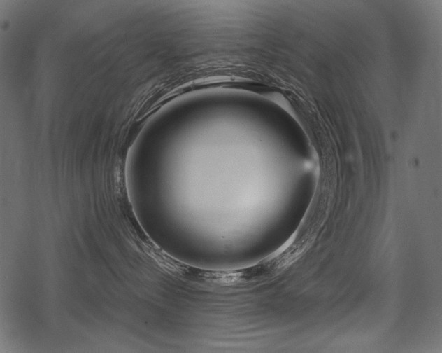 X0000078290288200611031239