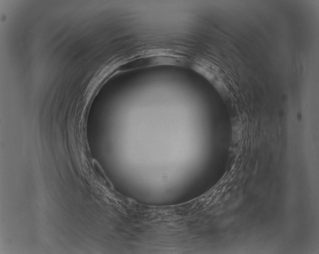 X0000078290289200611031238