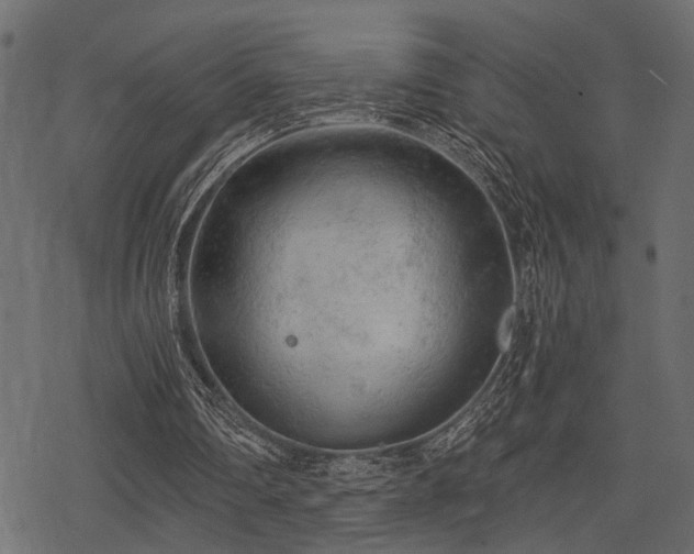 X0000078290290200611031238