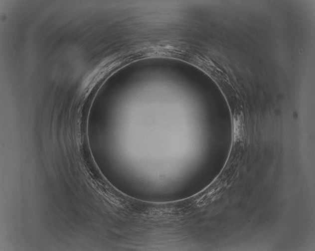 X0000078290291200611031238