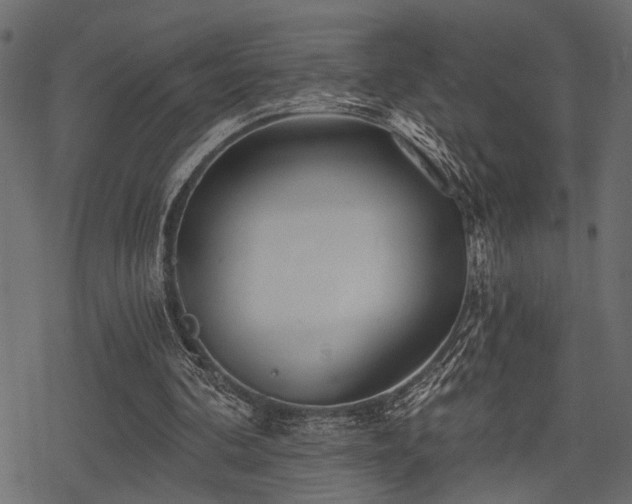 X0000078290292200611031238