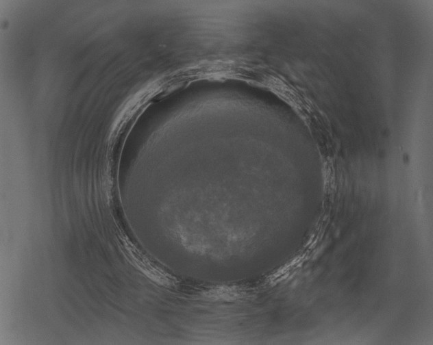 X0000078290293200611031238