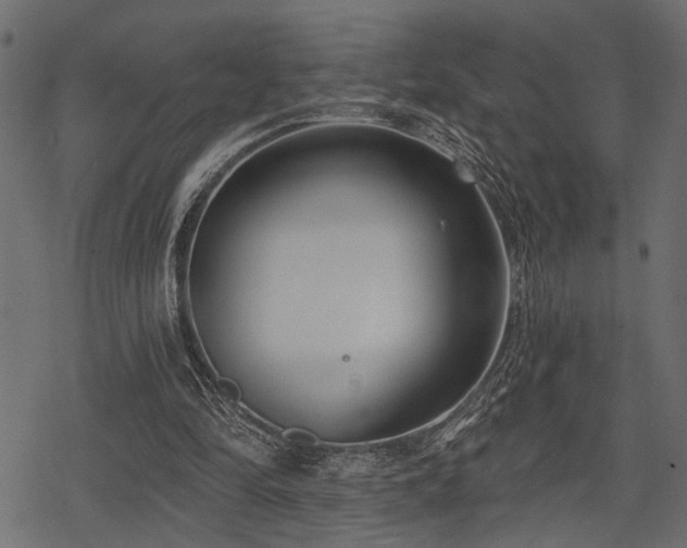 X0000078290294200611031238