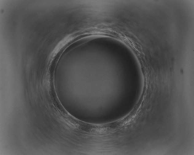 X0000078290295200611031238