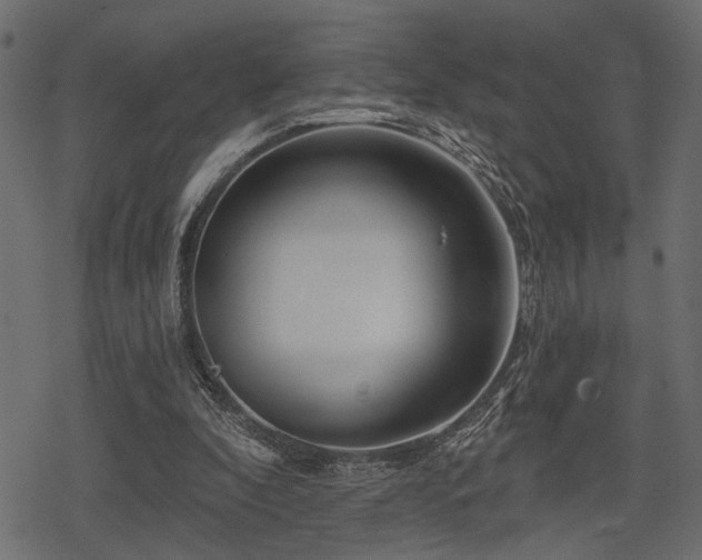 X0000078290296200611031238