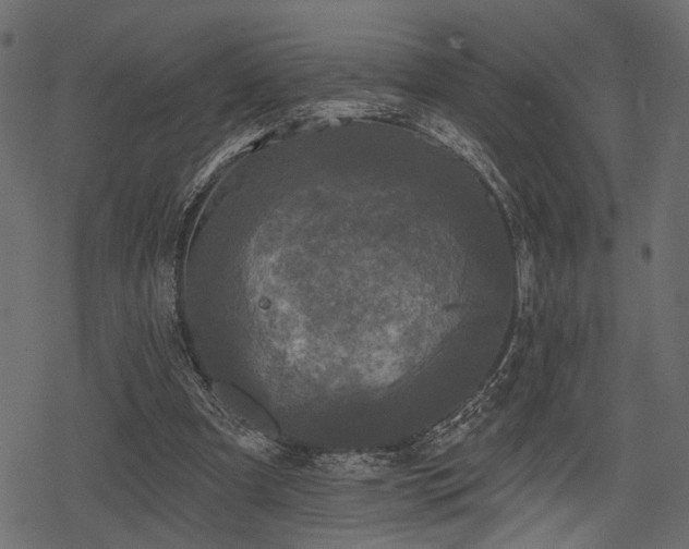 X0000078290297200611031238