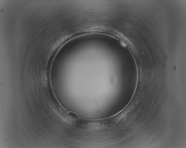 X0000078290298200611031238