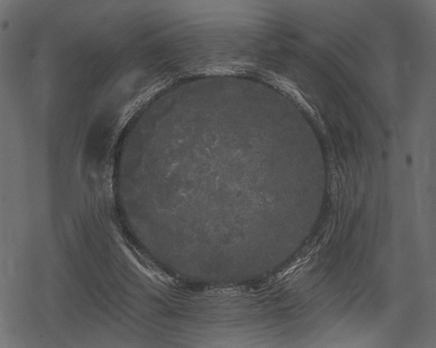 X0000078290299200611031238