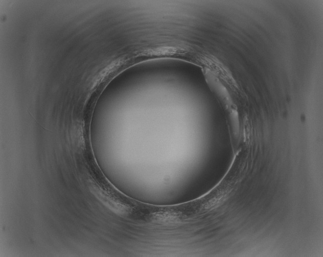 X0000078290300200611031238