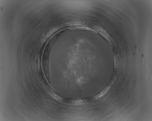 X0000078290301200611031238