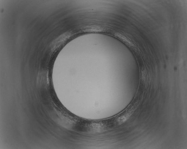 X0000078290302200611031238