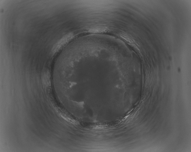 X0000078290303200611031238