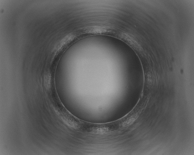 X0000078290304200611031238