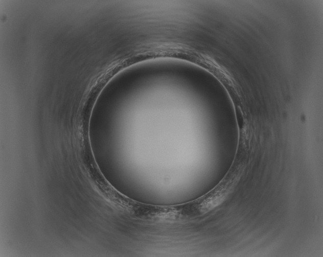 X0000078290306200611031238