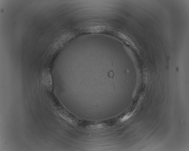 X0000078290307200611031238