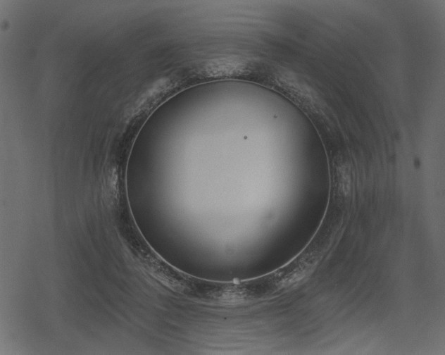 X0000078290308200611031238