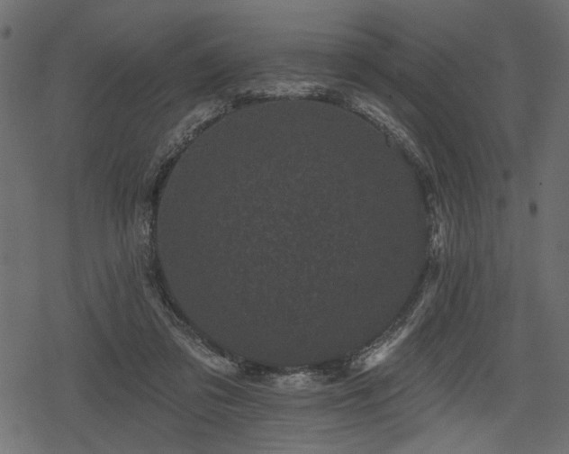 X0000078290309200611031238