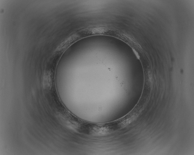 X0000078290311200611031238