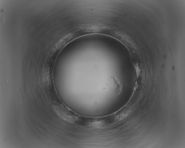 X0000078290312200611031238