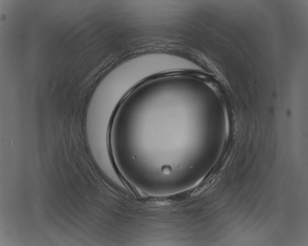 X0000078290313200611031238