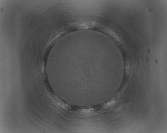 X0000078290314200611031238