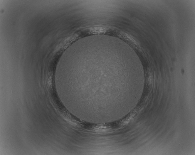 X0000078290315200611031238