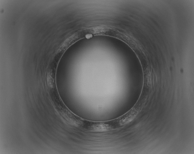 X0000078290316200611031238