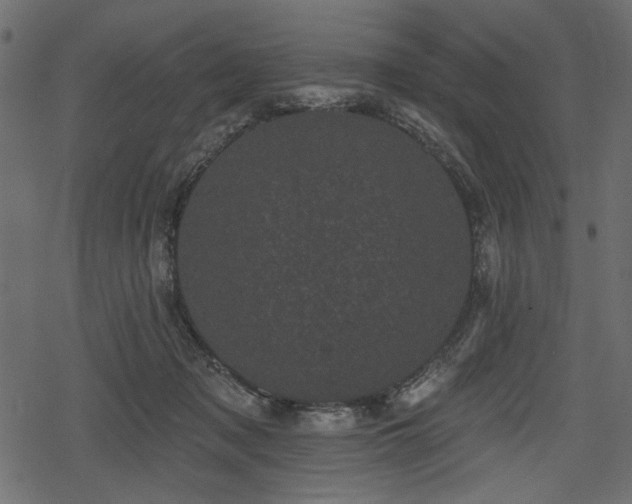 X0000078290317200611031238