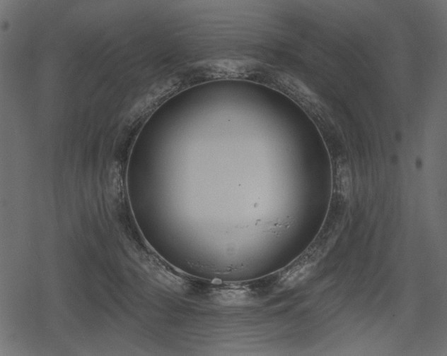 X0000078290318200611031238