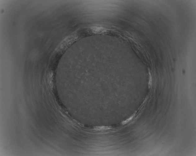 X0000078290319200611031238